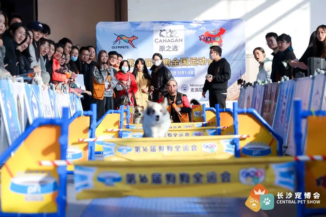 CPS・2024长沙宠物及水族产业博览会暨都市潮宠节