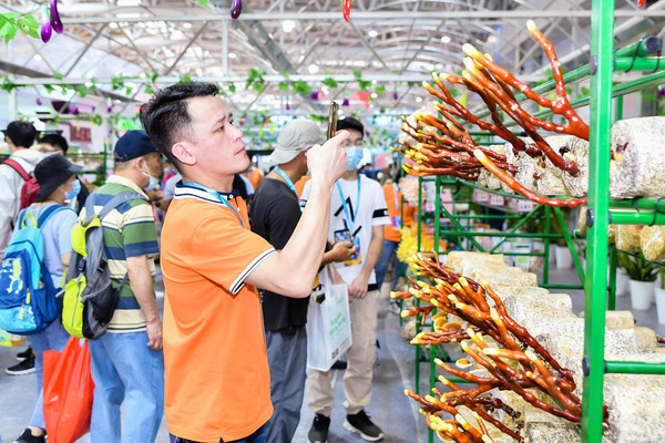 圖4：中國食用菌行業“規模以上”生產商、銷售商、科技人員70%以上來自福建