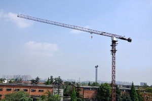 川建P6015（6t）平头式塔式起重机高清图 - 外观