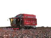 凱斯紐荷蘭 Cotton Express 620 采棉機